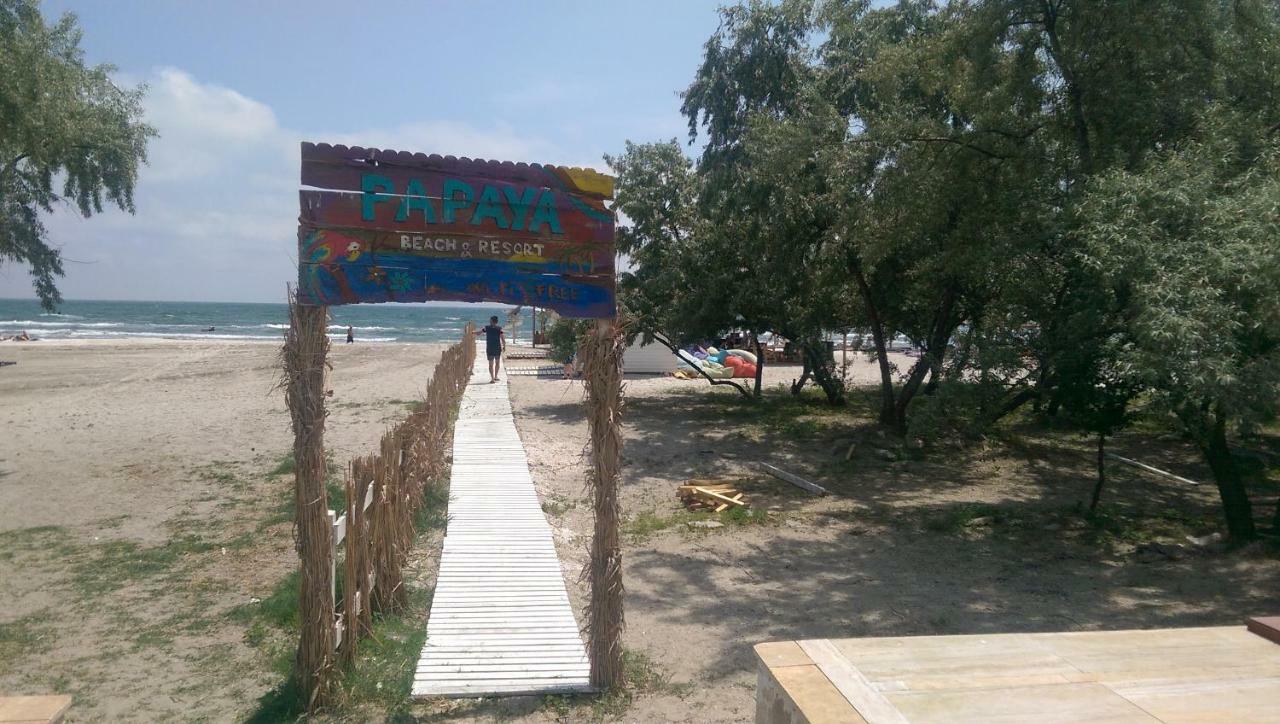 Garsoniera Papaya Beach Daire Navodari Dış mekan fotoğraf